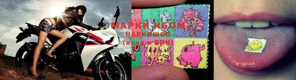 PSILOCYBIN Бронницы