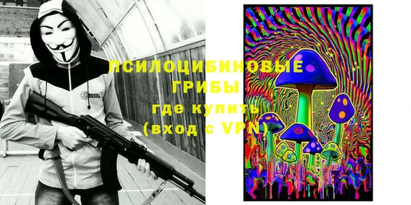 эйфоретик Бородино