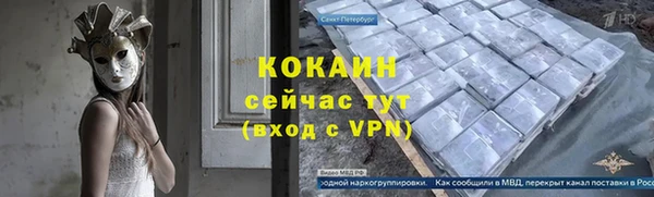 эйфоретик Бородино