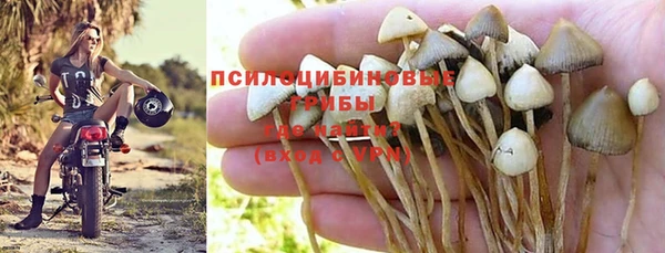 эйфоретик Бородино