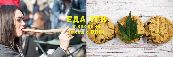 эйфоретик Бородино