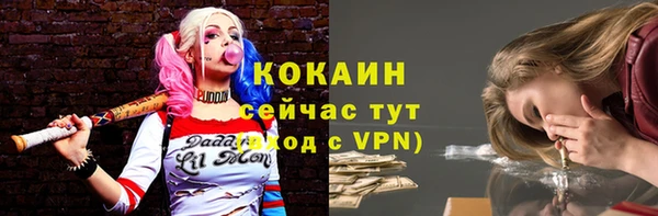 PSILOCYBIN Бронницы