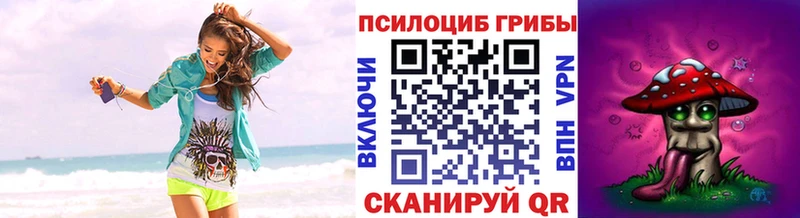 MEGA сайт  Дегтярск  Галлюциногенные грибы Psilocybe 